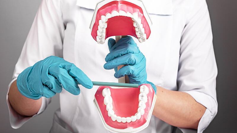 Un chirurgien dentiste qui montre un molaire