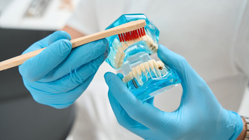 Un dentiste qui montre la bonne technique de brossage des dents