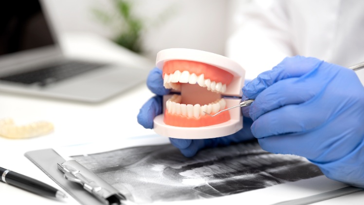 Un dentiste qui présente les particularités d'une prothèse dentaire